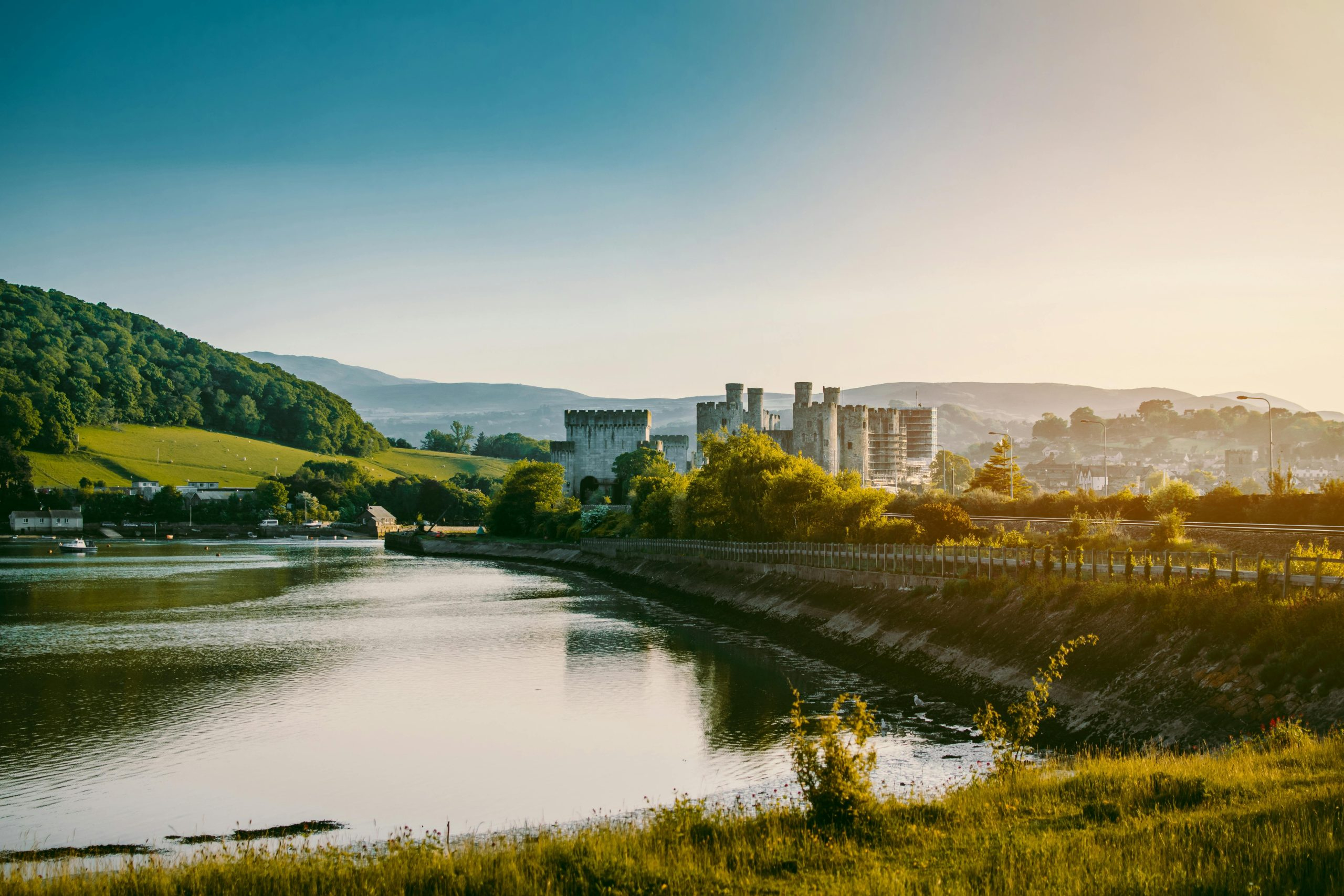 Building a Strong Defense Against Financial Scams and Phishing