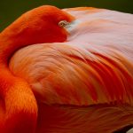 Developing an Eye for Fairness