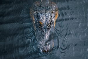 The Importance of Ethical Behavior