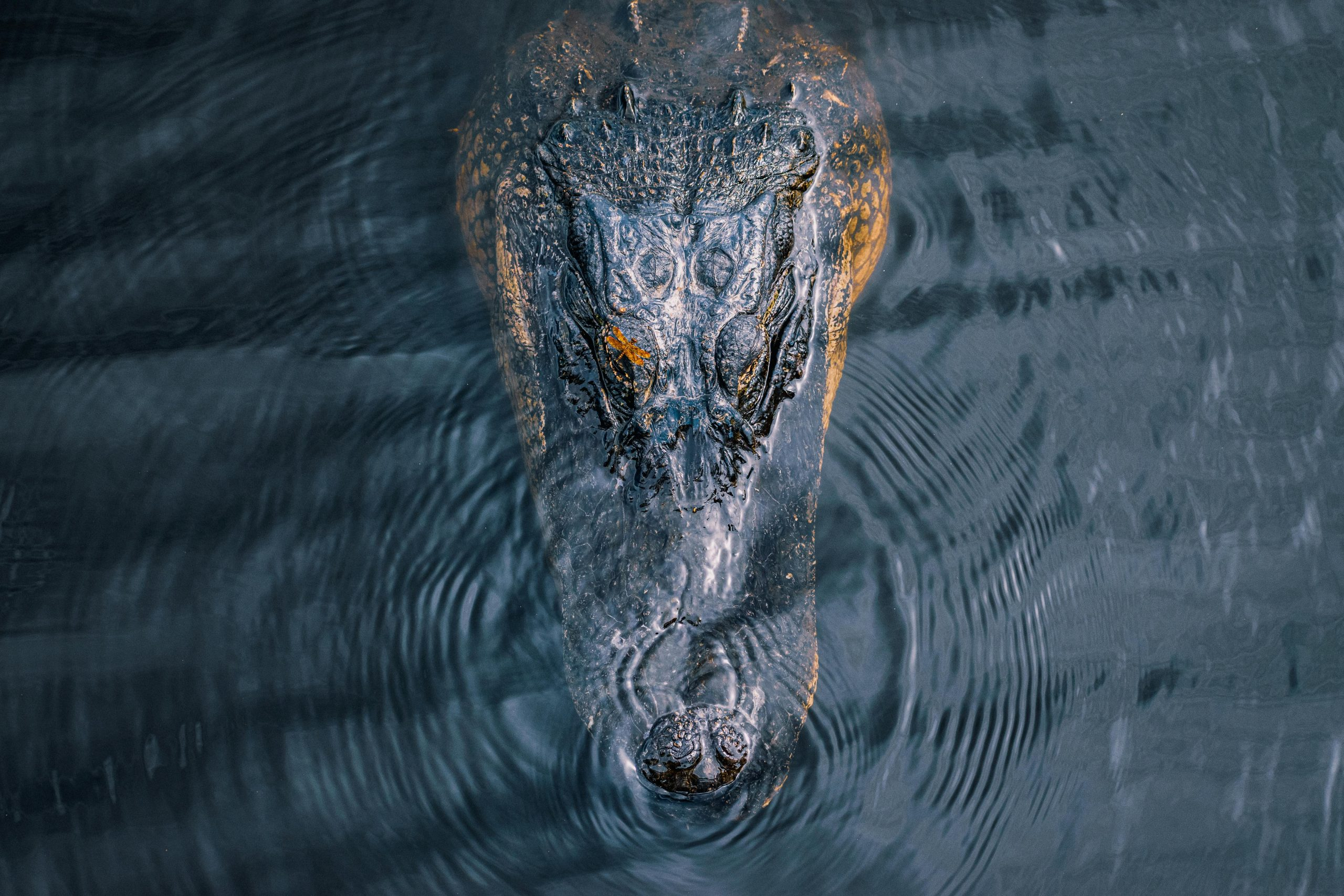 The Importance of Ethical Behavior