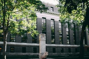 Building a Collection of Travel-Inspired Art