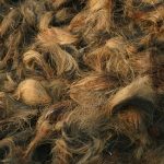 Developing Sustainable Sourcing Practices for Raw Textile Materials