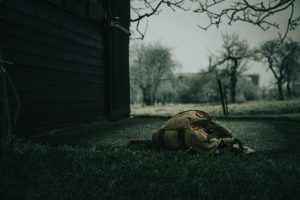 Simple Ways to Make Your Travel More Enjoyable