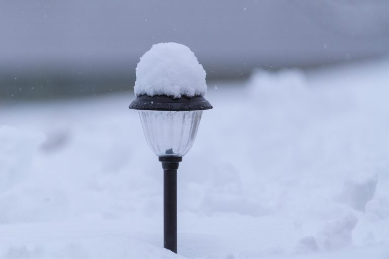 Simple Ways to Make Law Accessible