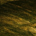 Mastering the Art of Booking Unique Stays