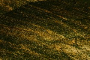 Mastering the Art of Booking Unique Stays