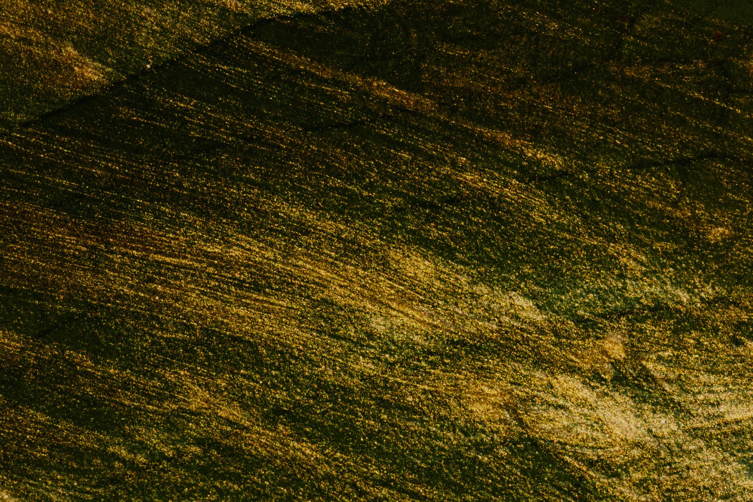 Mastering the Art of Booking Unique Stays