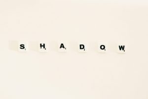 The Rise of Single-Board Computers in Education and Hobby