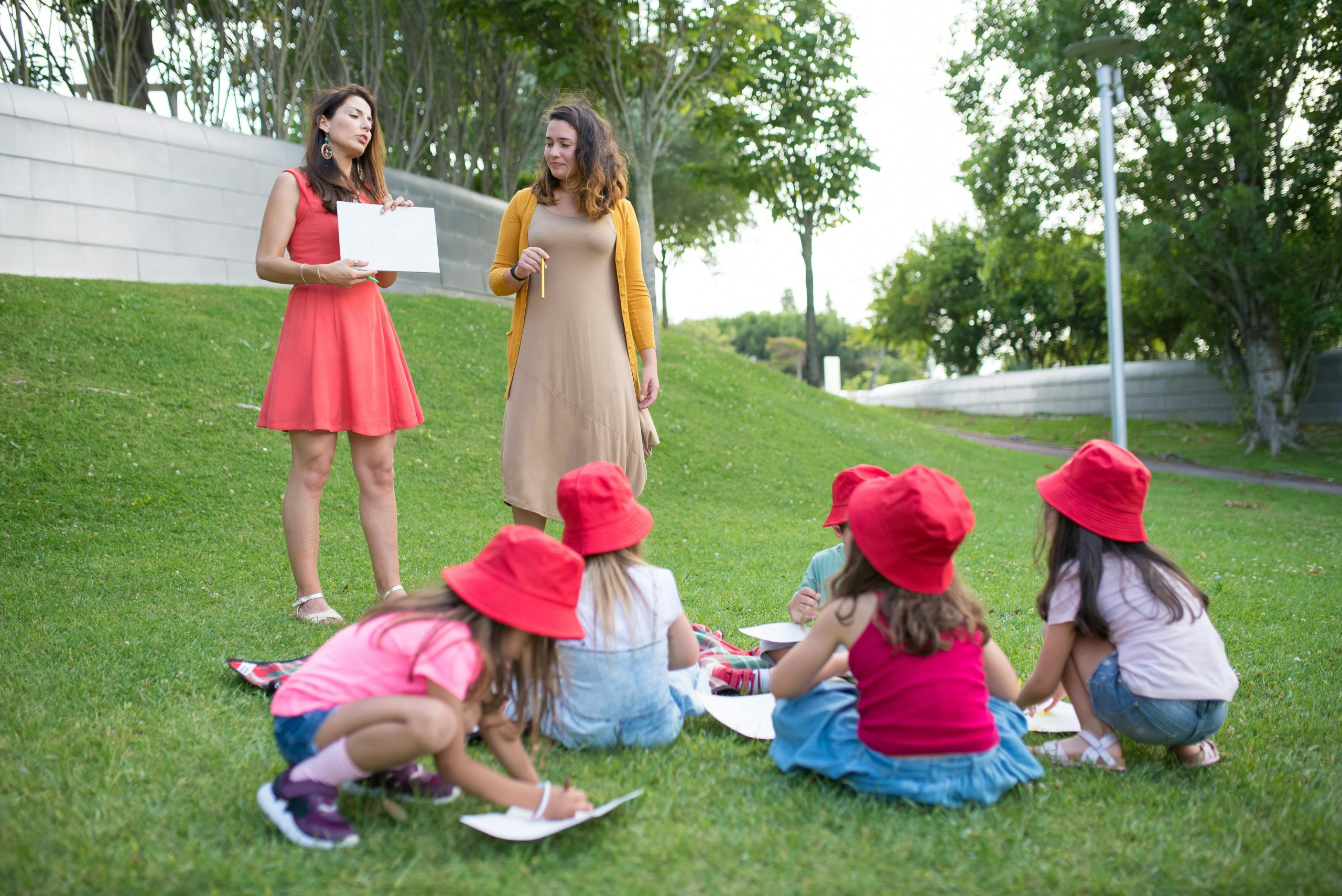 The Essential Guide to Law School